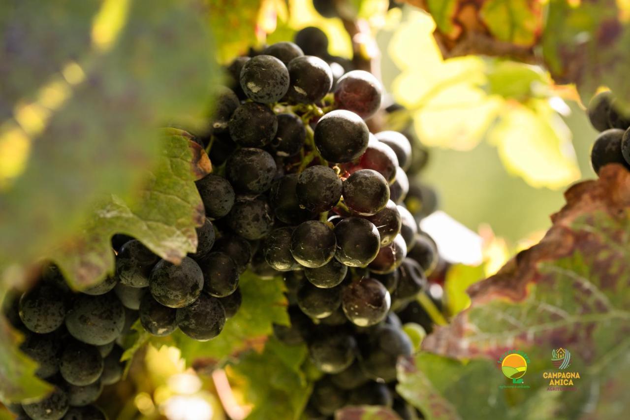 Agriturismo Ai Carpini ماركون المظهر الخارجي الصورة