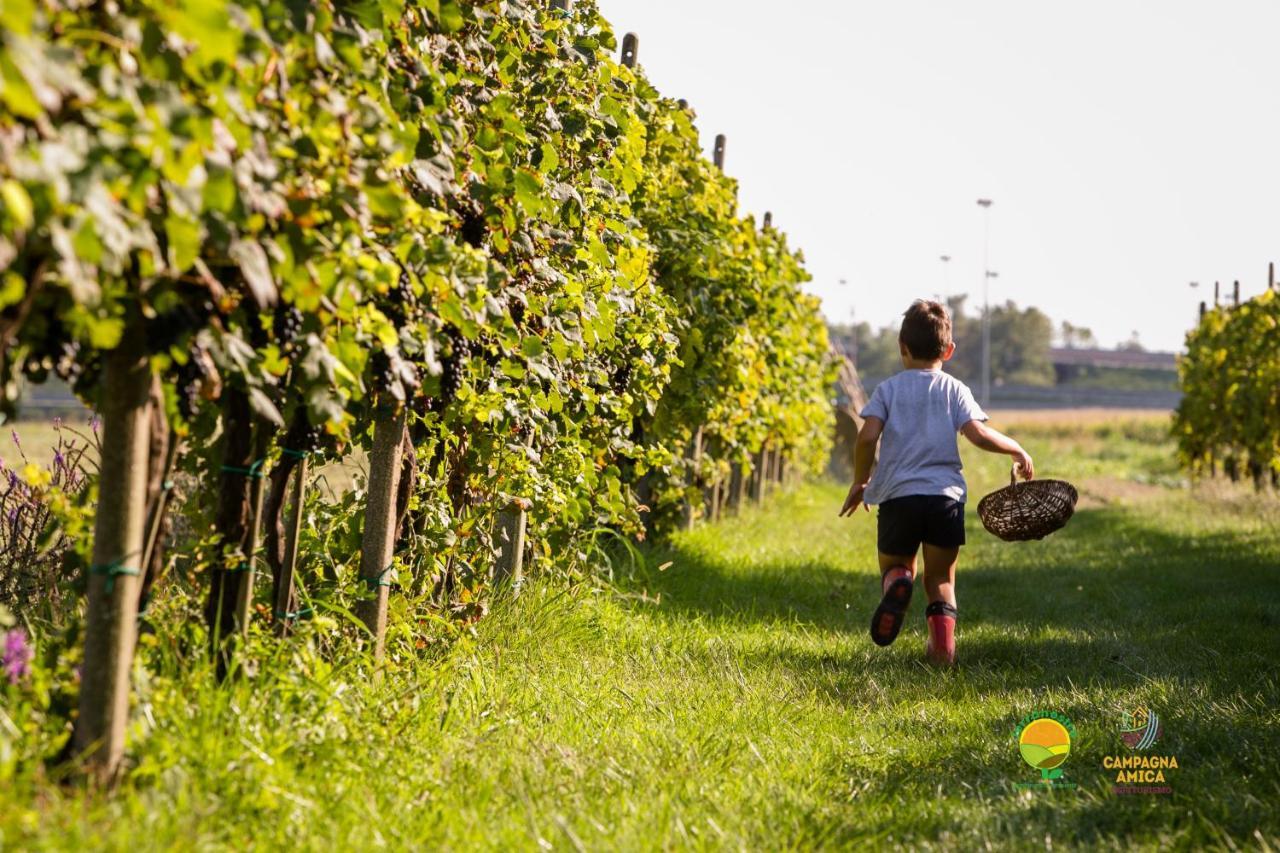 Agriturismo Ai Carpini ماركون المظهر الخارجي الصورة