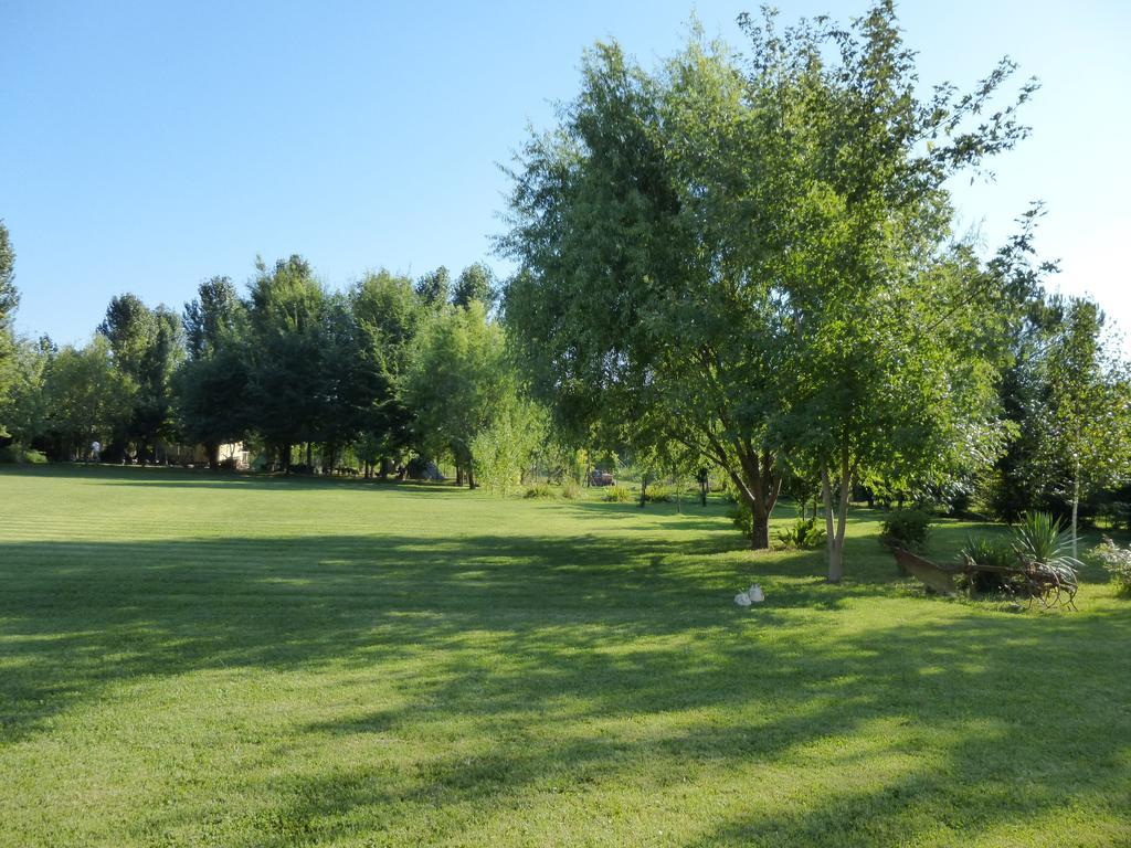 Agriturismo Ai Carpini ماركون المظهر الخارجي الصورة